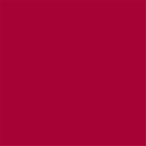 [166.07] SERVIETTE BORDEAUX X700