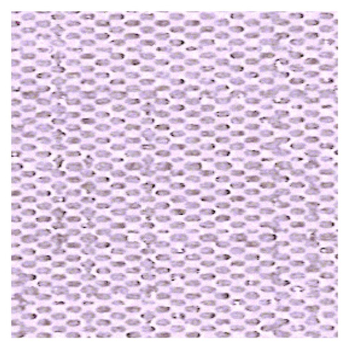 [195.60] SERVIETTE PARME X700